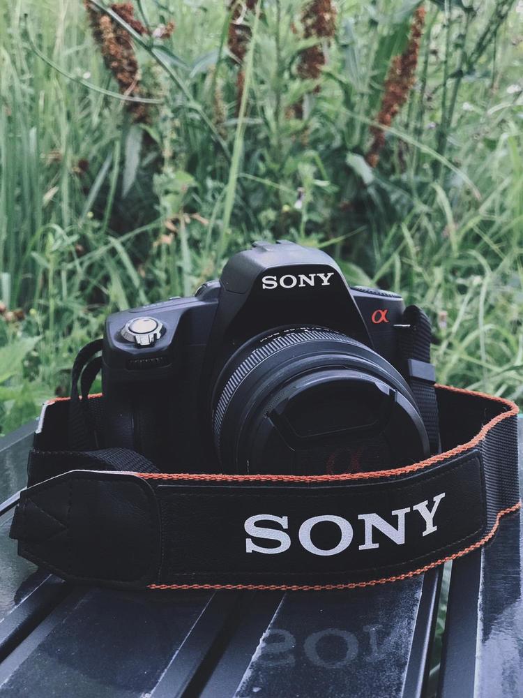 Фотография автора Виталий Дузь