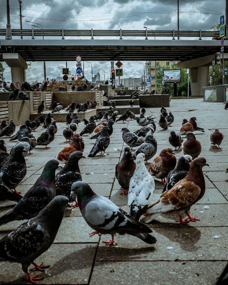 Фотография автора Медведева Елена