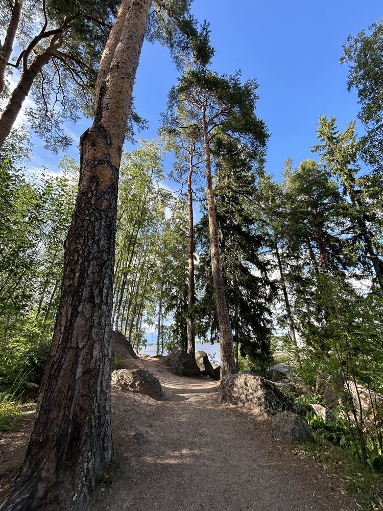 Photograph by Татьяна Третьякова