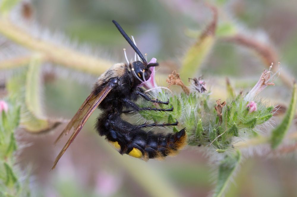 Photograph by Наталья Снеговая