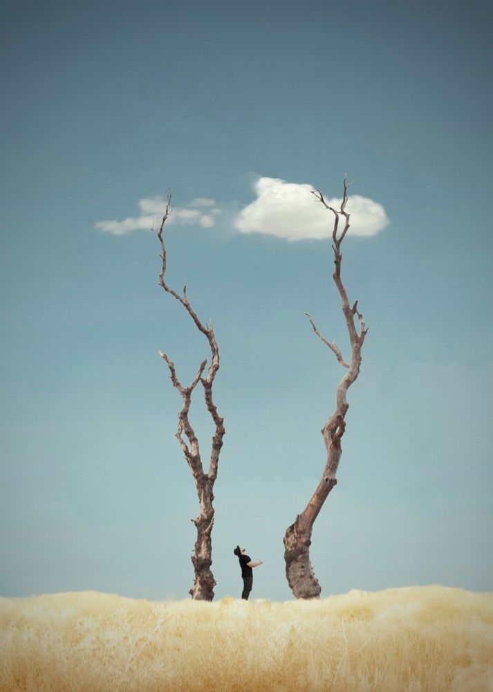 Photograph by Alireza Bagheri Sani