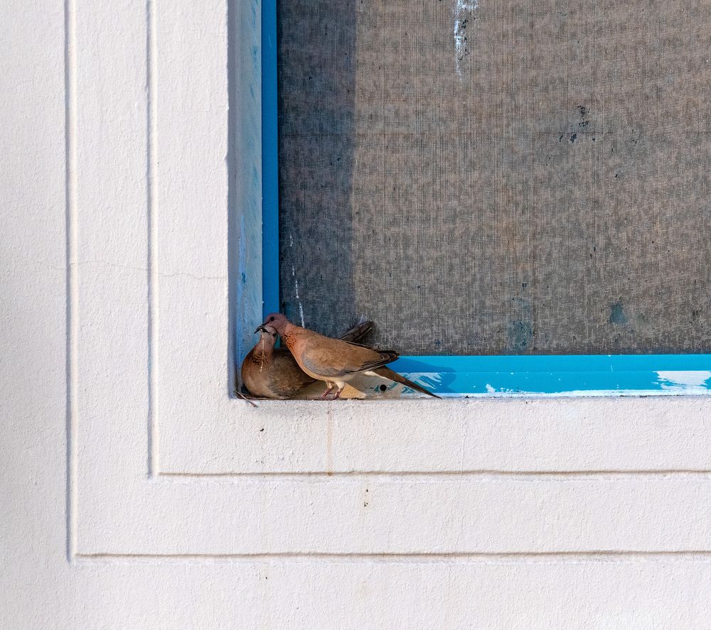 Фотография автора Sajeev Krishnan