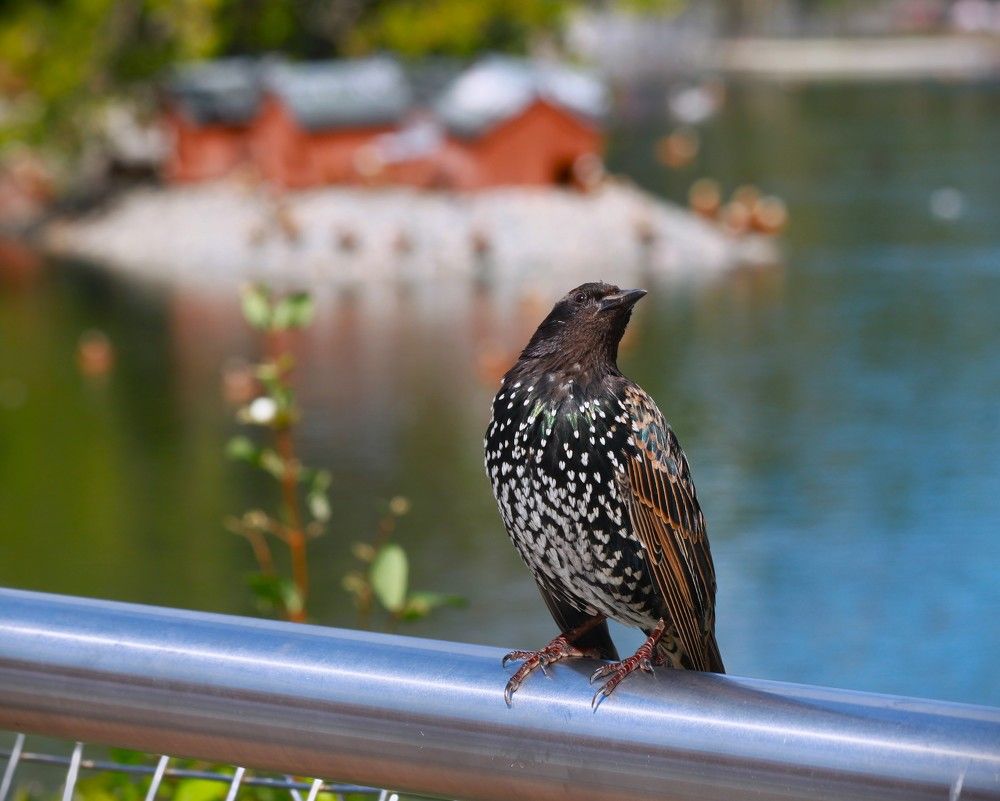 Photograph by Гагик Саркисян