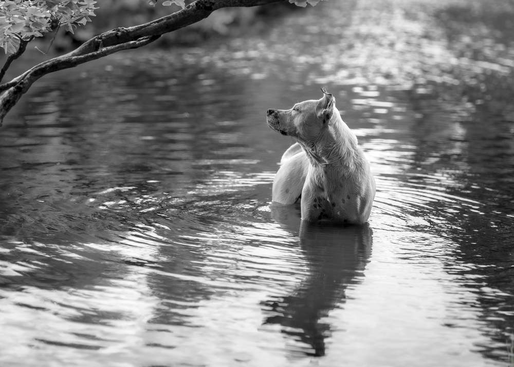 Photograph by Claudia Rios