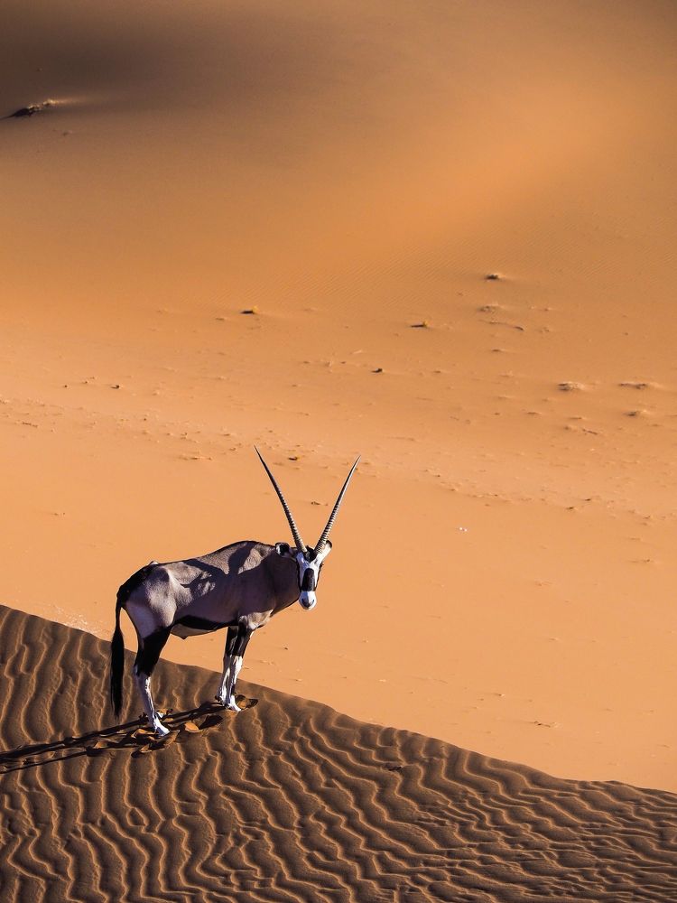 Photograph by Павел Сазанов