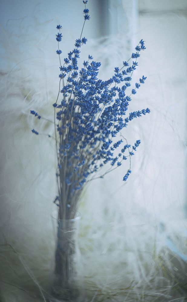 Photograph by Елена Власова