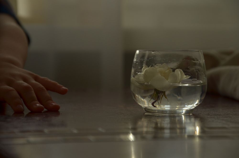 Photograph by Ольга Семенова