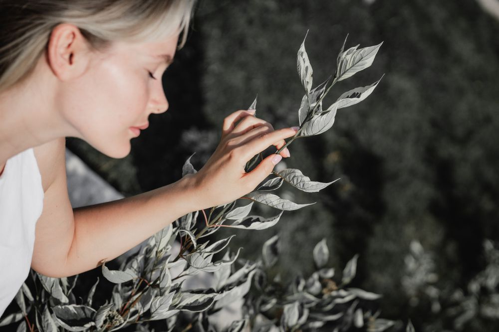 Photograph by Елена Леонидовна