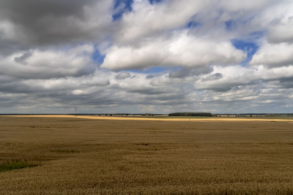 Photograph by Максим Бычин