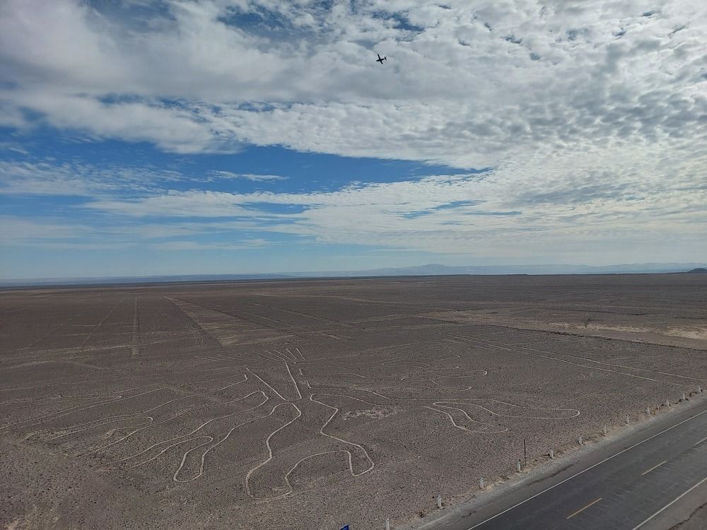 Photo #10825599
