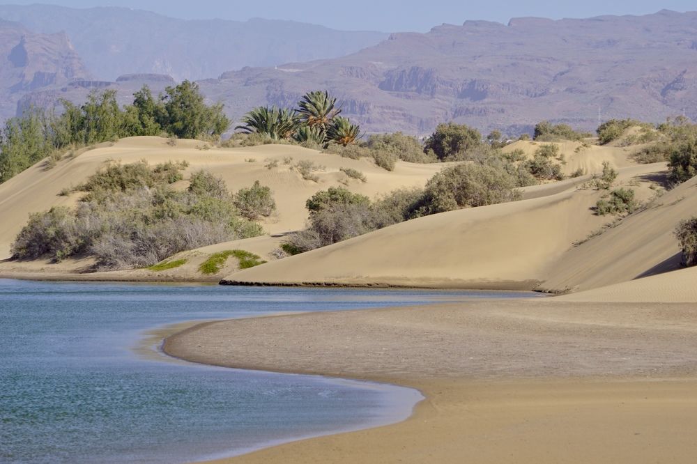 Фотография автора Liudmila Kiermeier