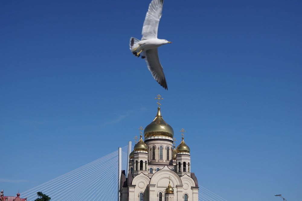 Фотография автора Liudmila Kiermeier