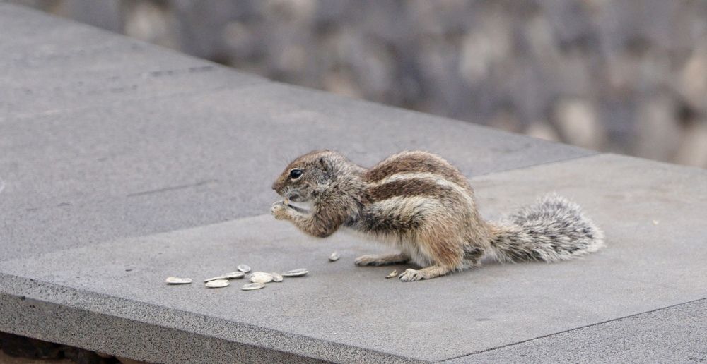 Фотография автора Liudmila Kiermeier