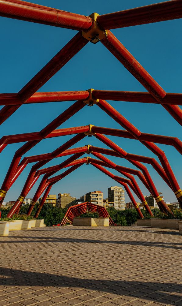 Photograph by Pardis