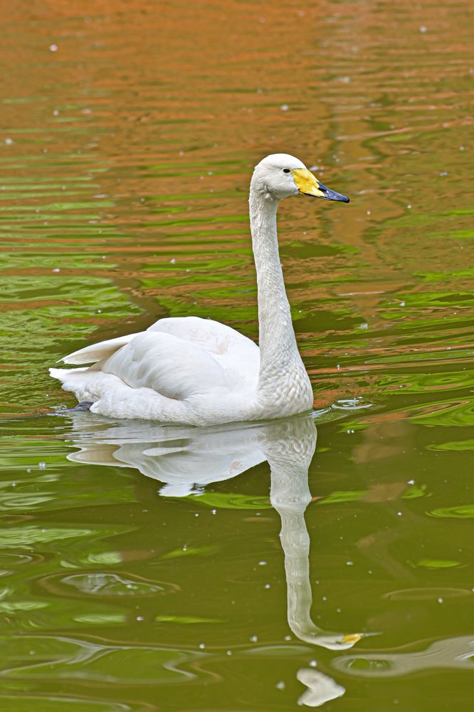 Photograph by Денис Бочаров