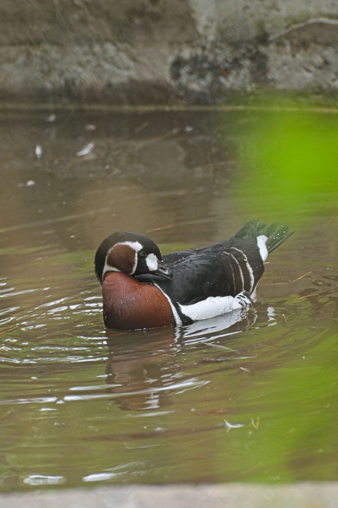 Photograph by Денис Бочаров