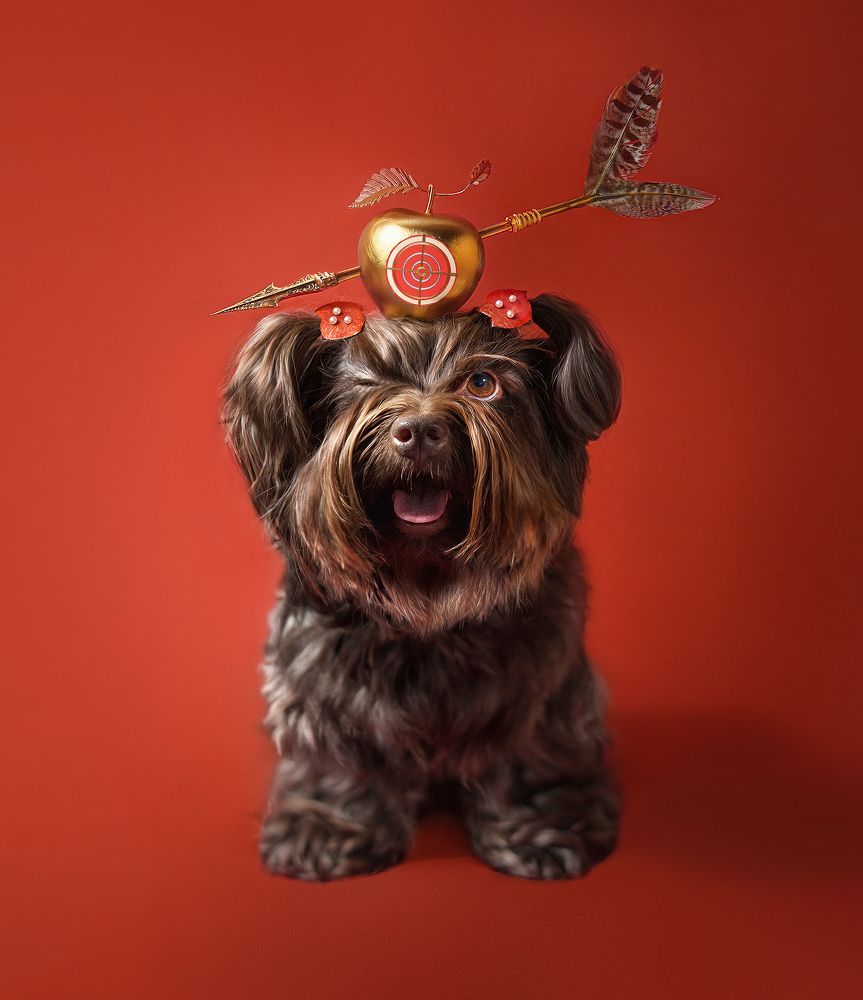 Фотография автора Eugenia Tuzova