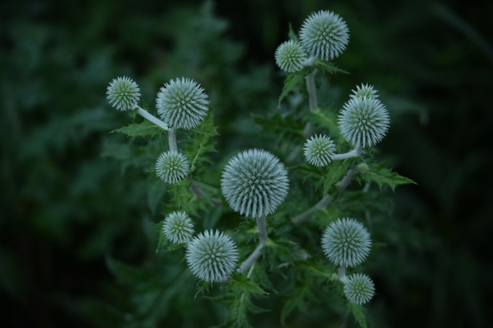 Photograph by Ольга Каминская