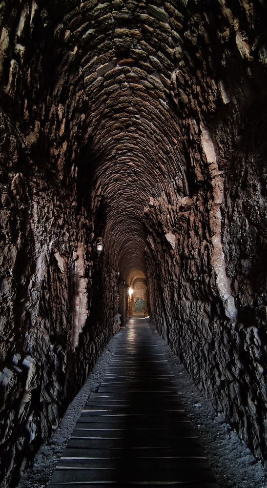 Photograph by Pardis