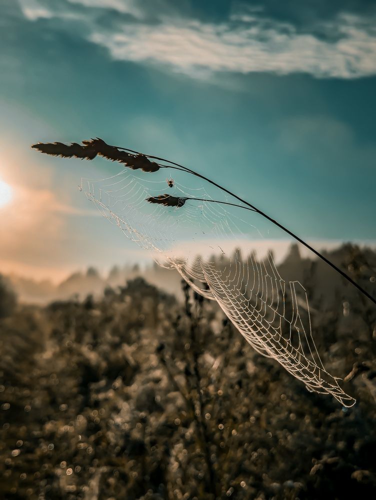 Фотография автора Юлия Дударёнок