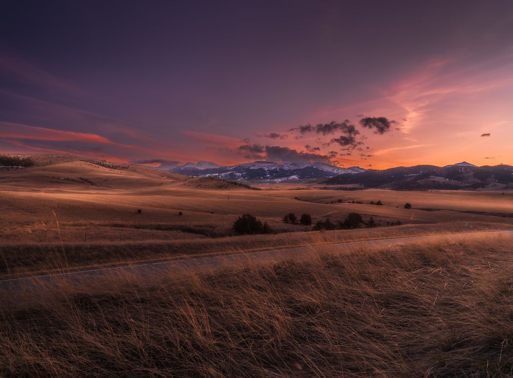 Photograph by An Dang