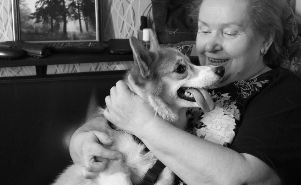 Photograph by Владимир Безбородов