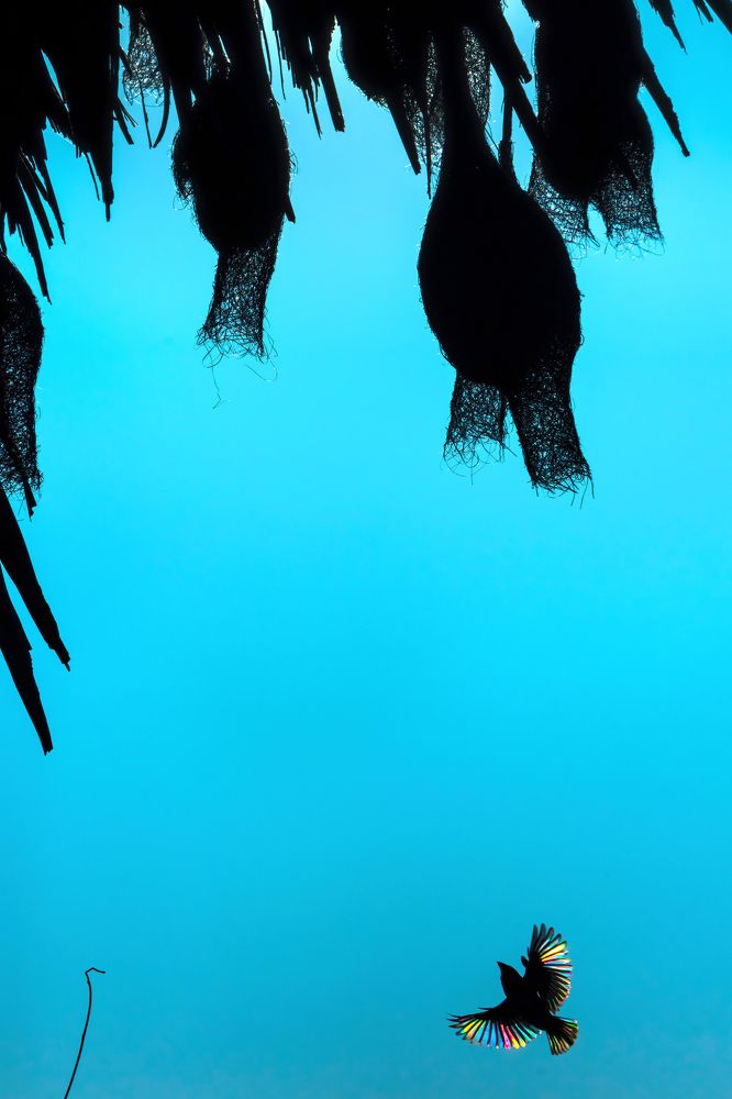 Photograph by Easa Lebbe Muhammed Jamsith