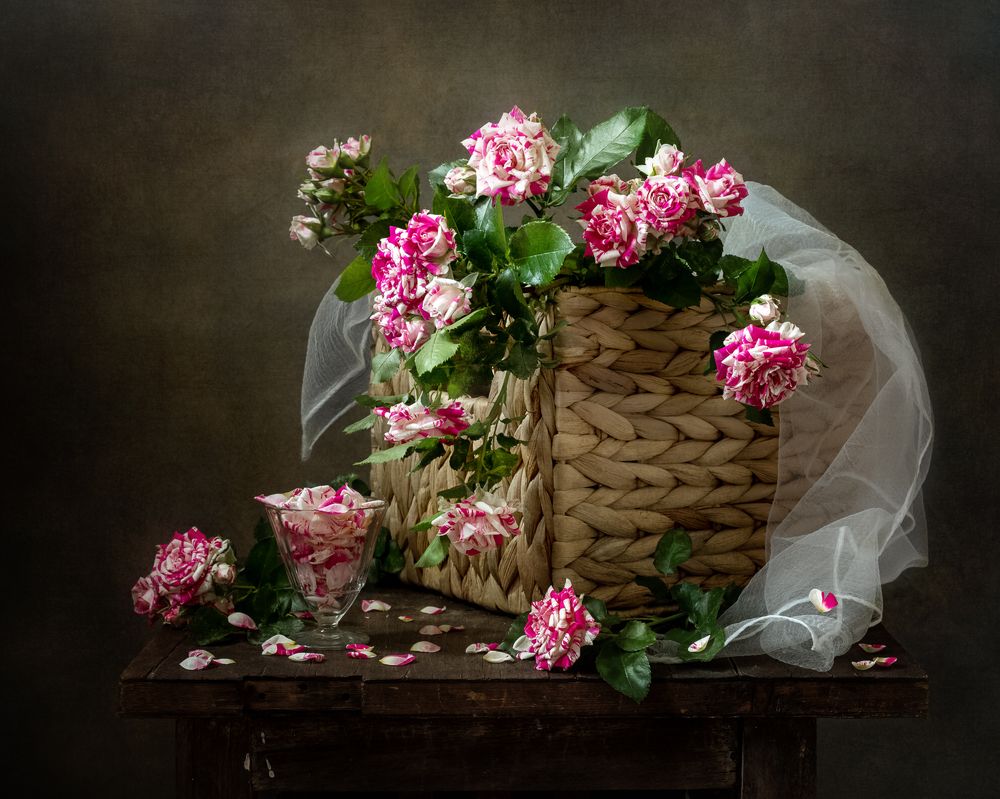 Фотография автора Olga Aleksandrovna