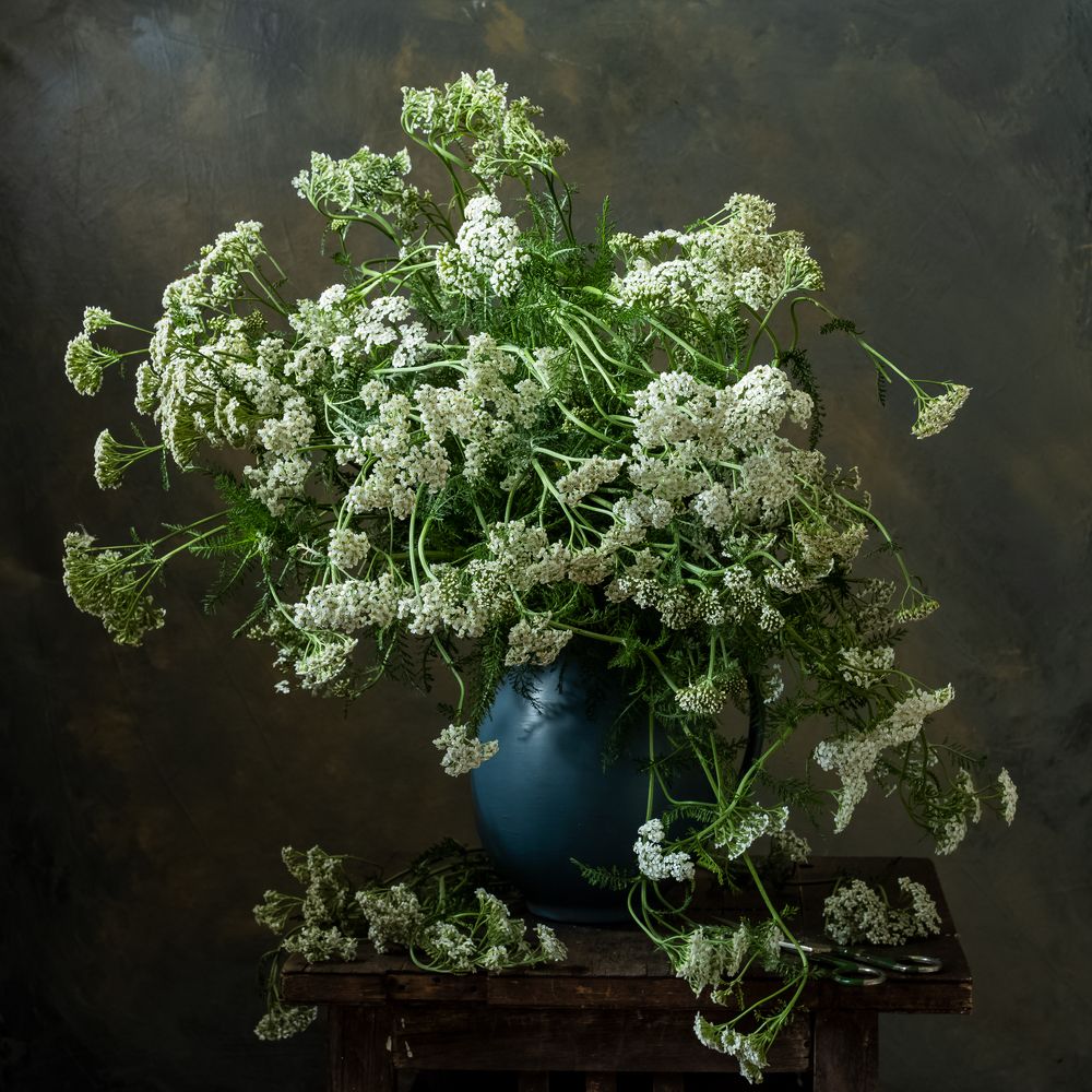 Фотография автора Olga Aleksandrovna