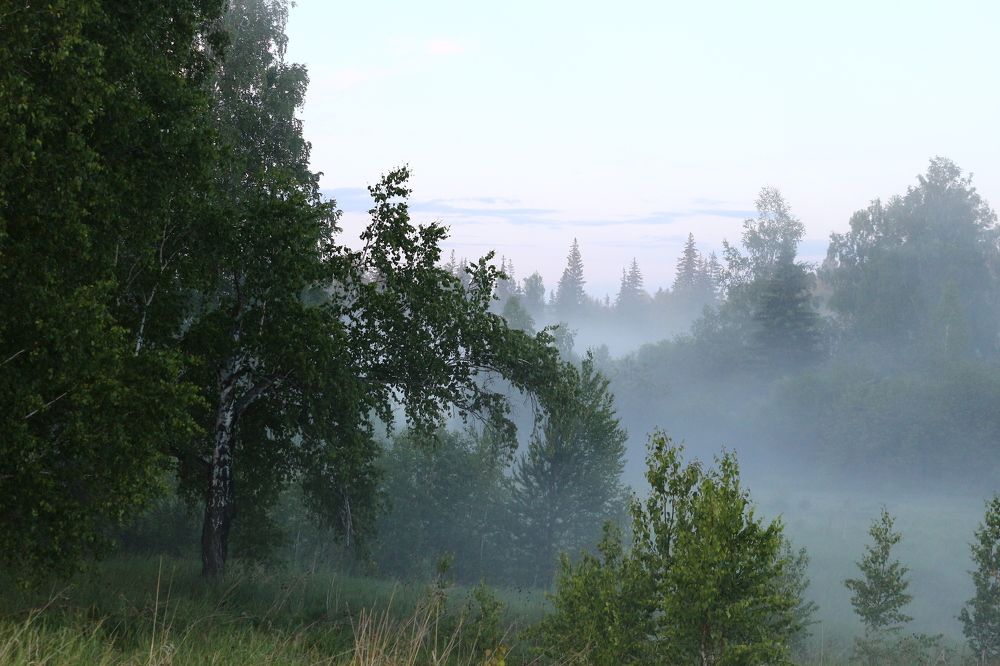 Photograph by Елена Федорова