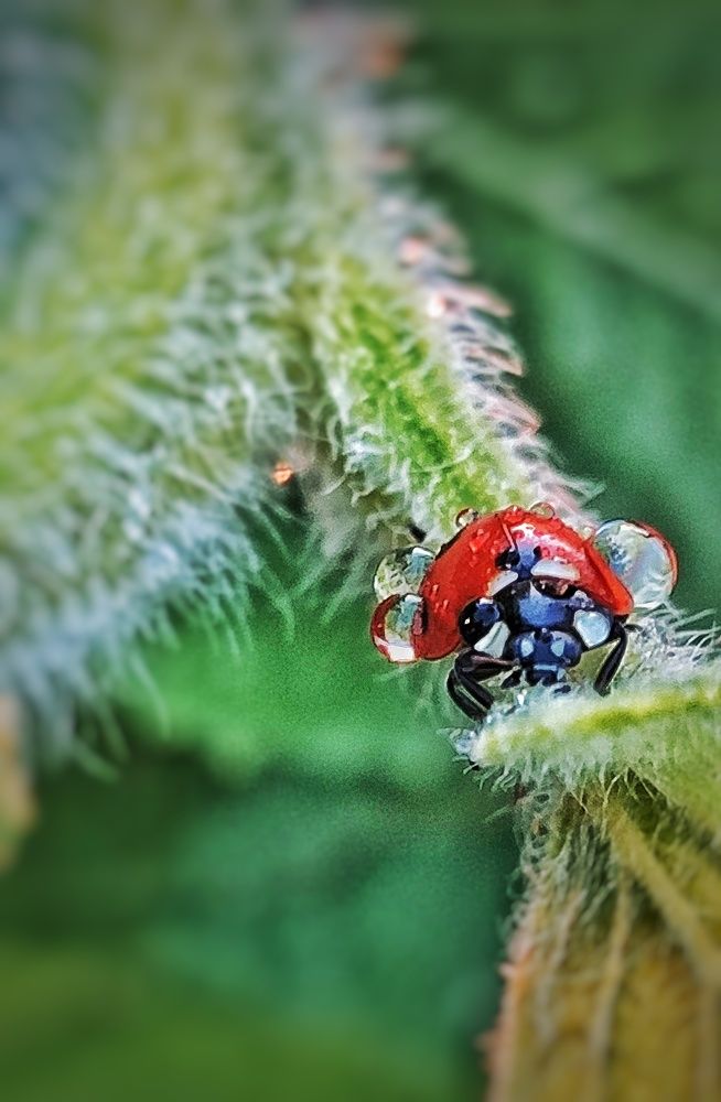 Photograph by Наталья Исиченко