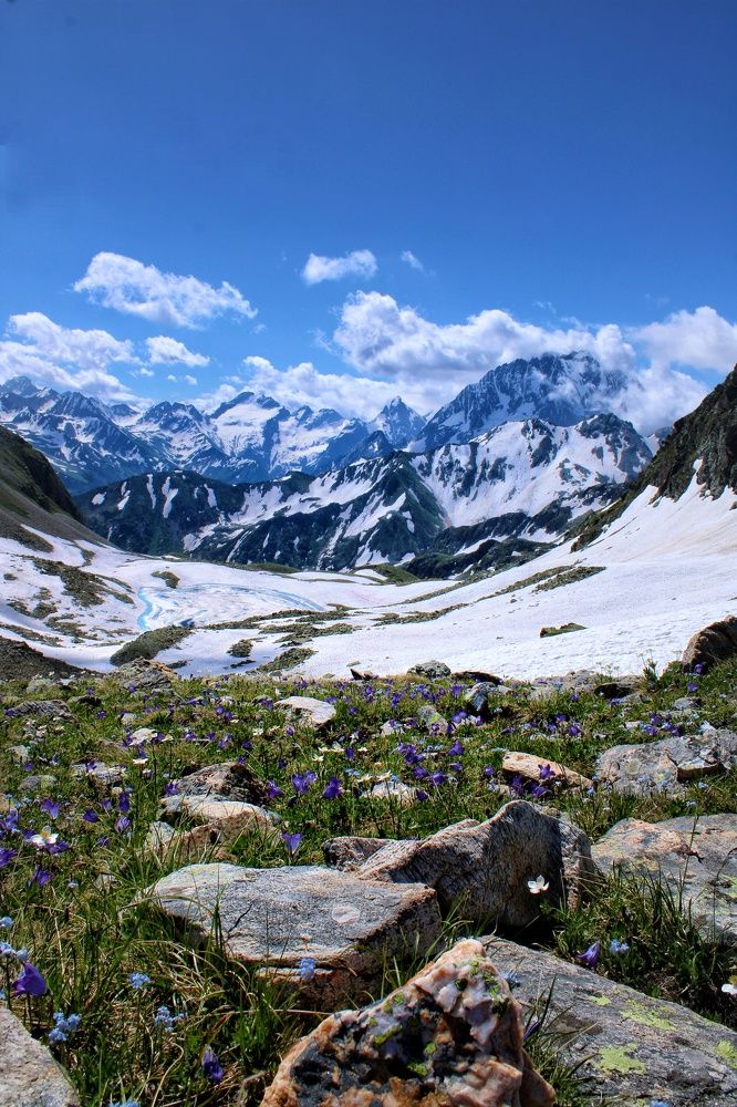 Photograph by Елена Кузнецова