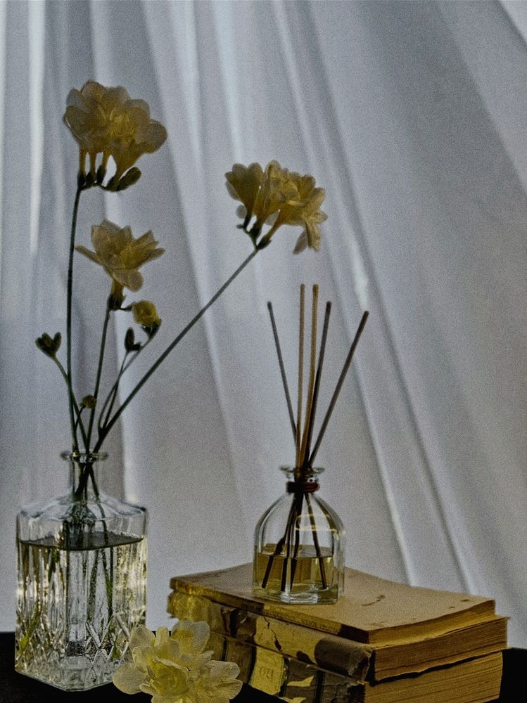 Photograph by Ksenija Bartoško