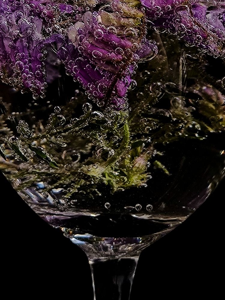 Photograph by Ksenija Bartoško