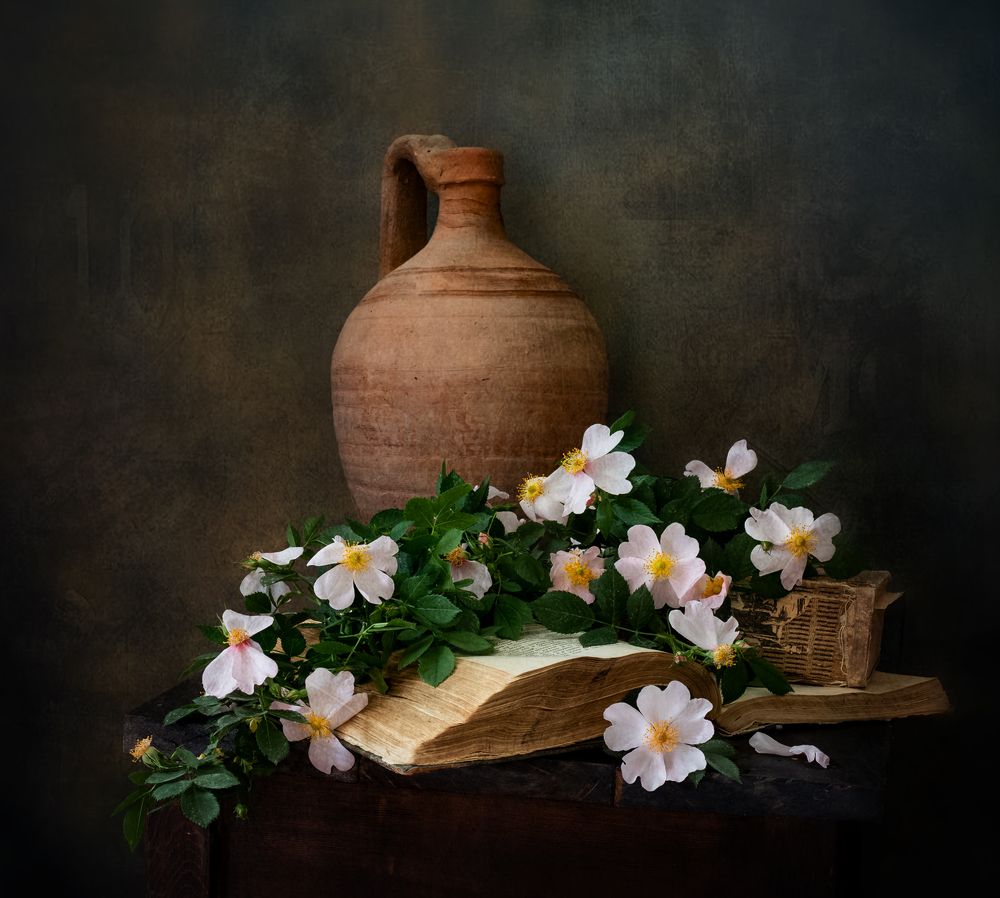 Фотография автора Olga Aleksandrovna