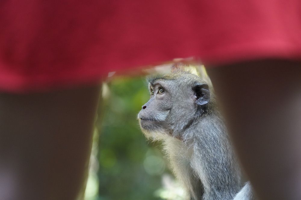 Photograph by Raed Victor Saad