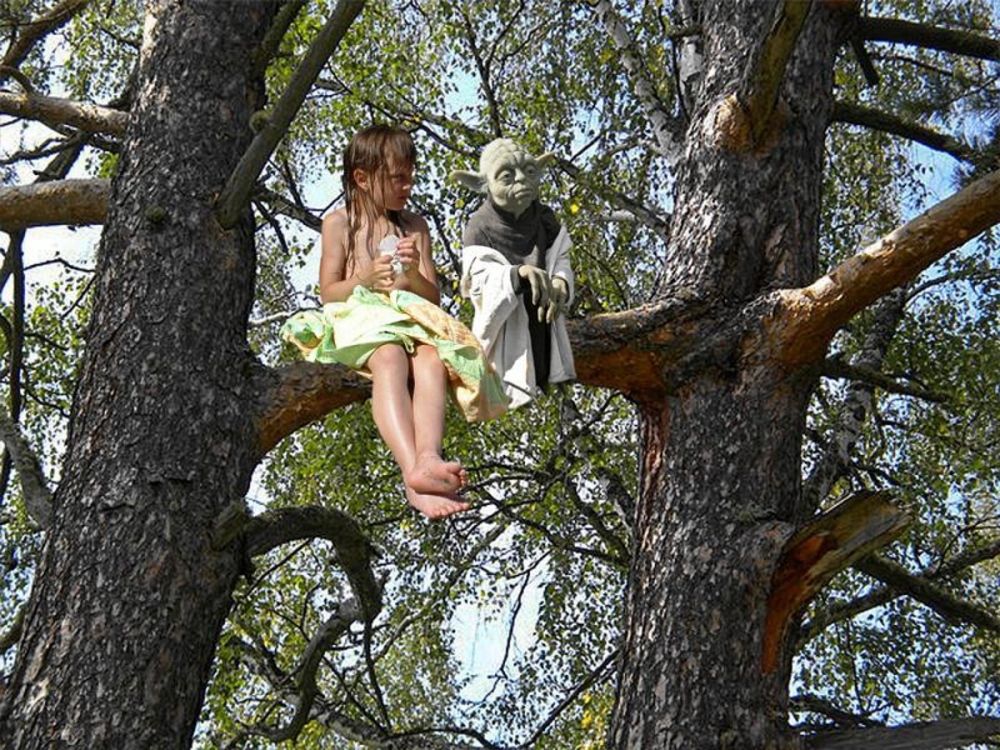 Photograph by Савоцкий Роман