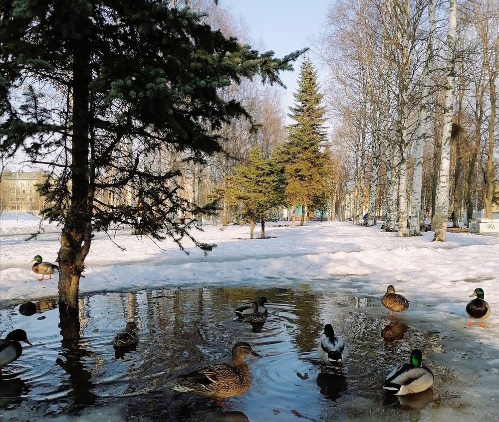 Photograph by Татьяна Бешенкина