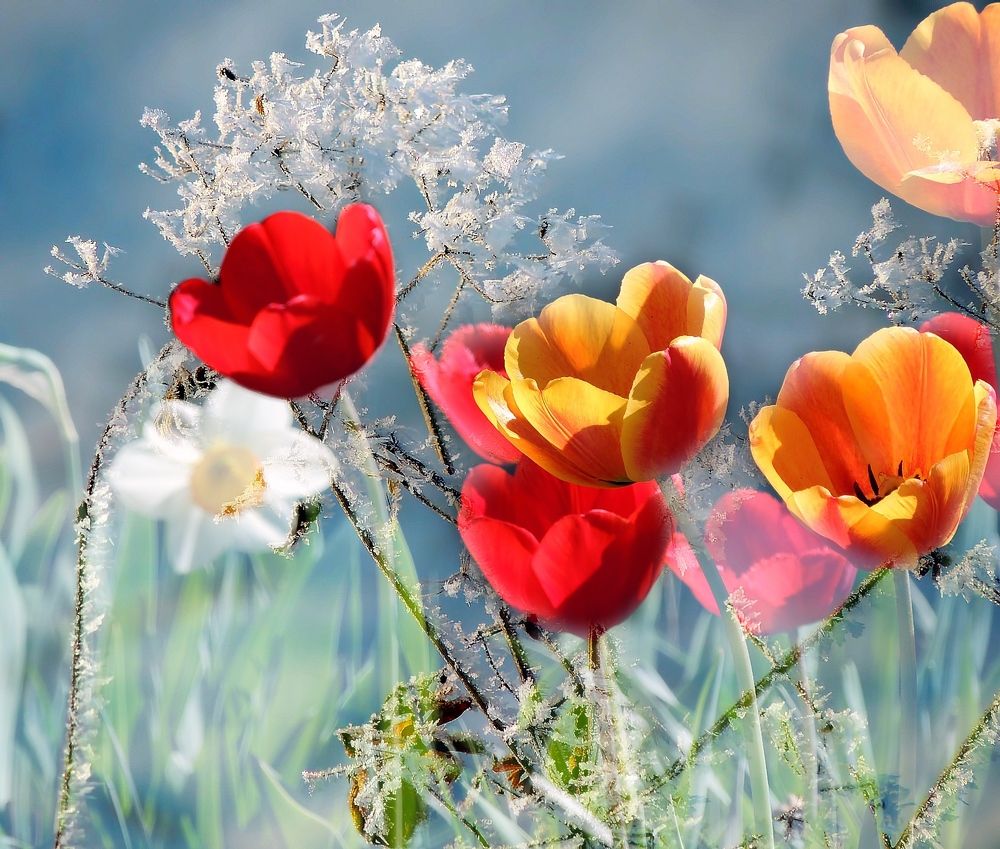 Фотография автора Роман Савоцкий