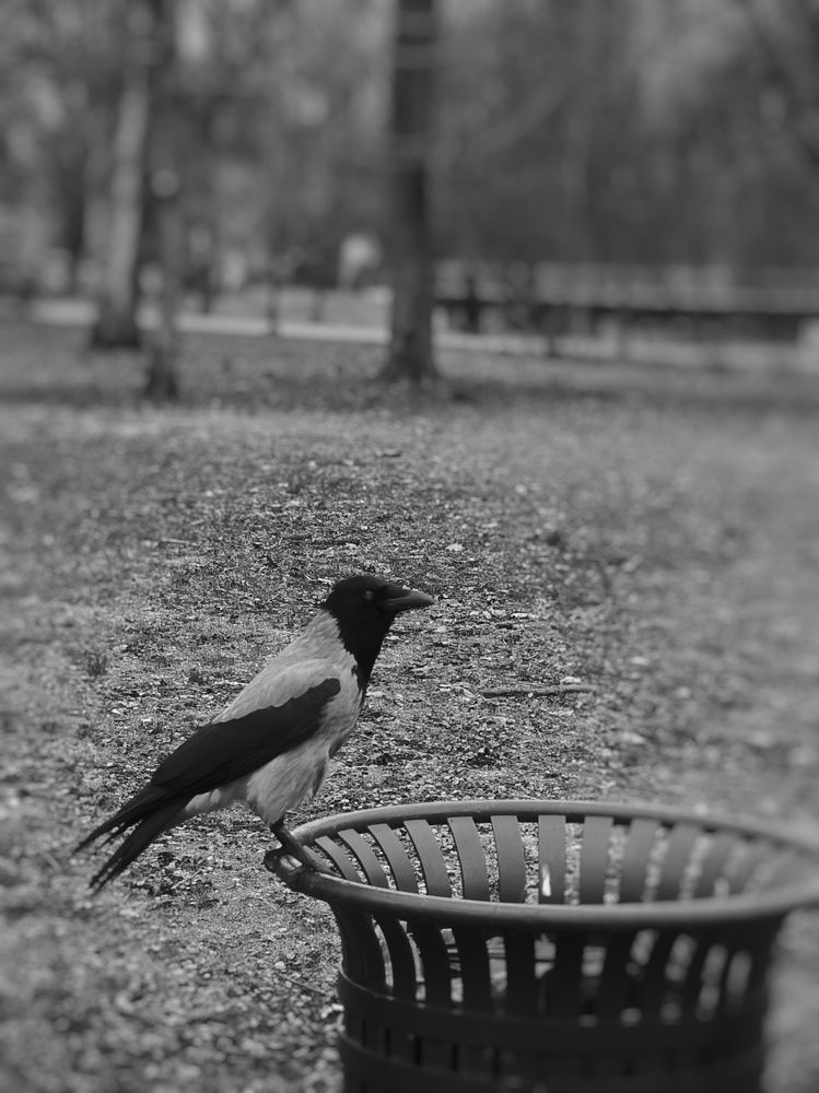 Photograph by Ksenija Bartoško