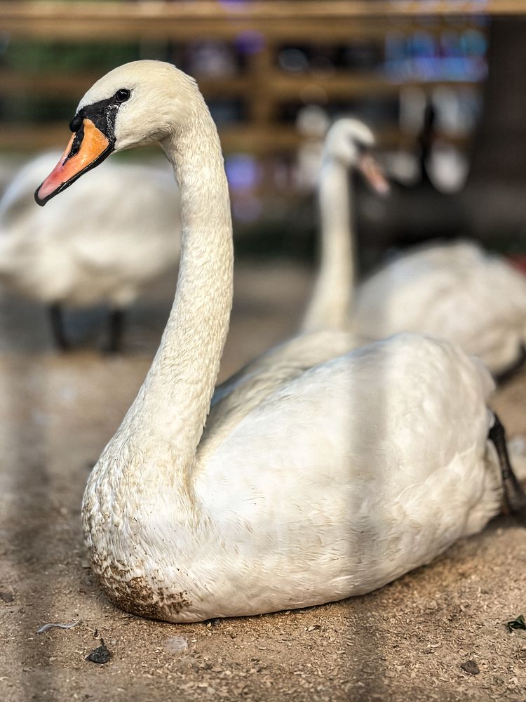 Photograph by Лилия