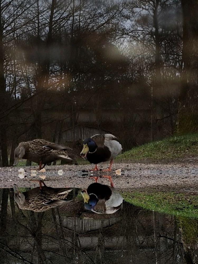 Photograph by Ksenija Bartoško