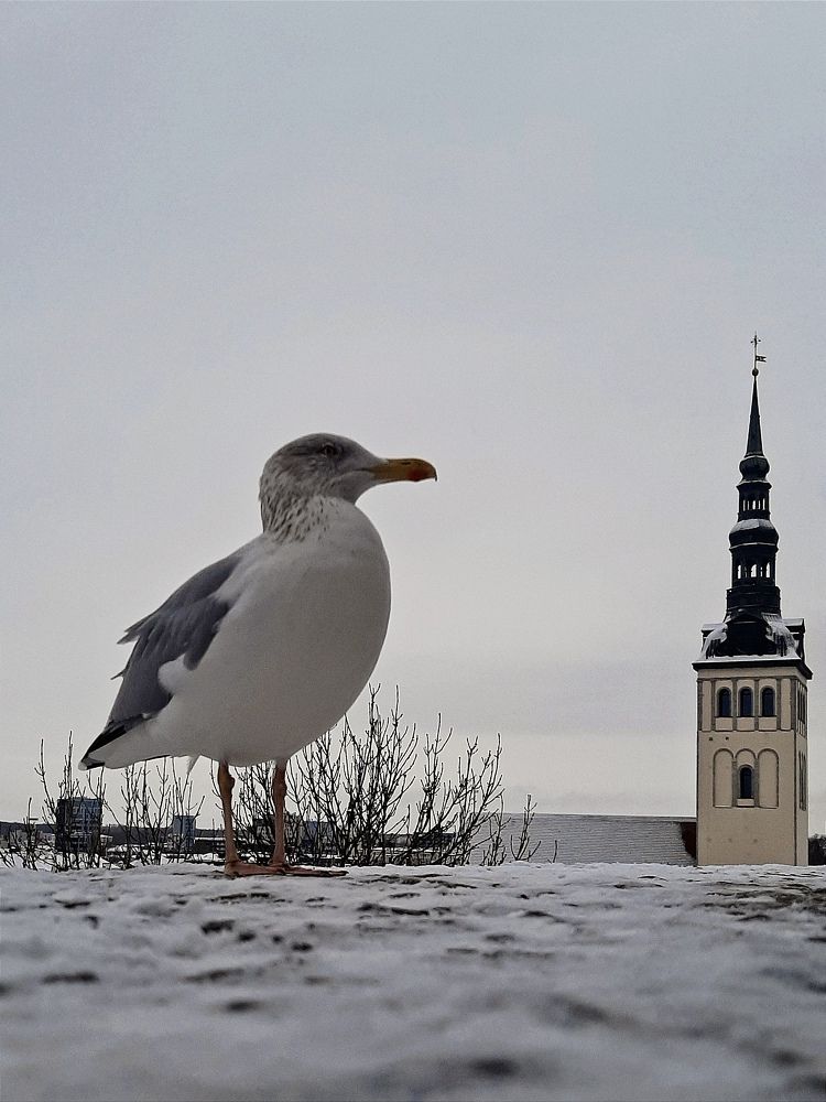 Photograph by Ksenija Bartoško