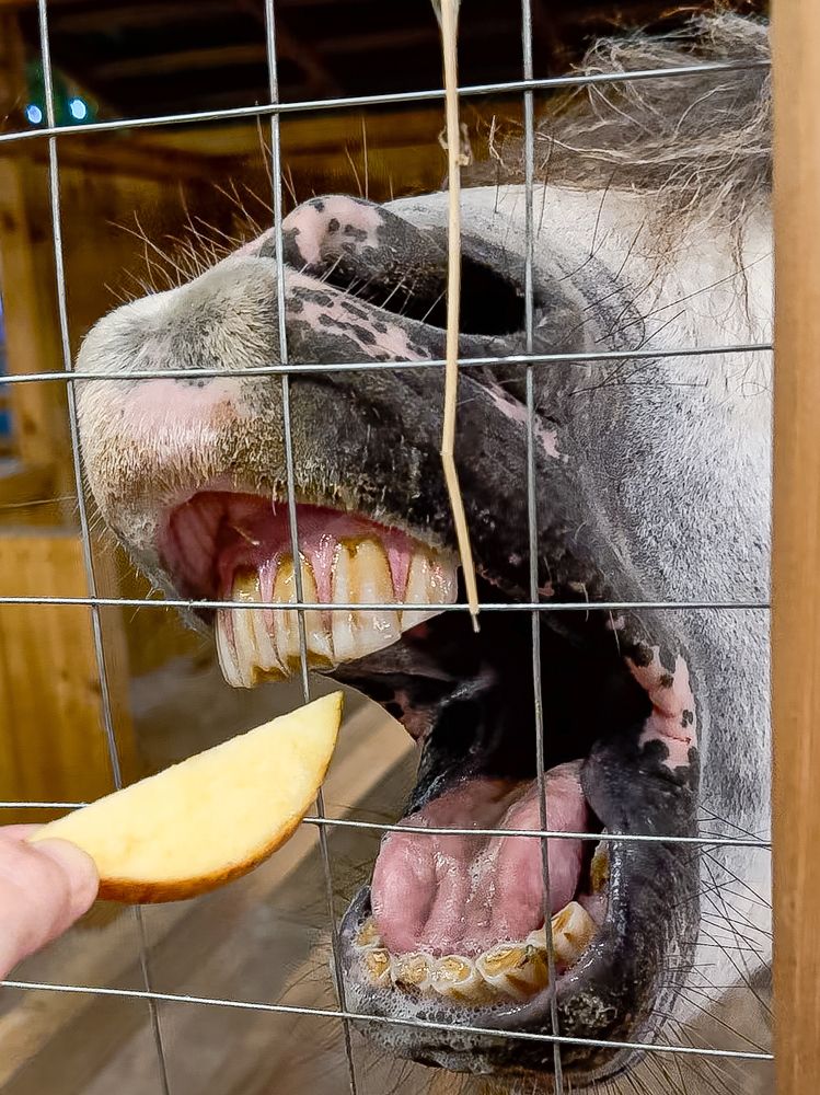 Photograph by Лилия