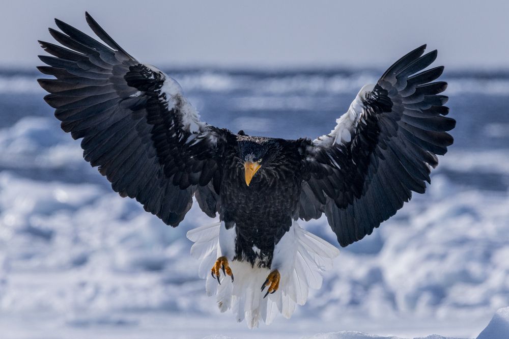 Photograph by Kurashima Daisuke