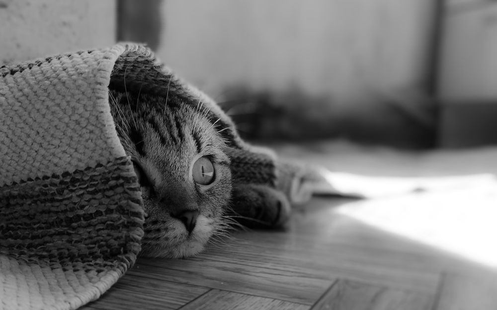 Photograph by Ксения Моськина