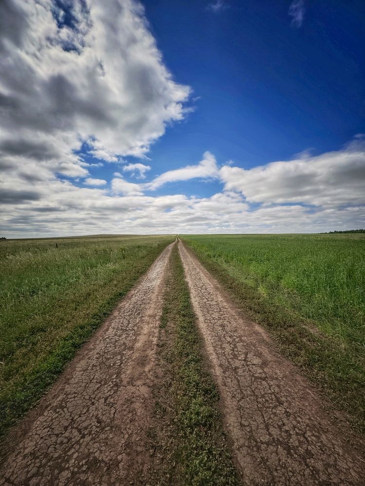 Фотография автора Кира Бахвалова