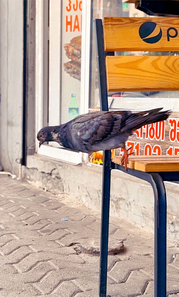 Photograph by Siarhei Saladukhin