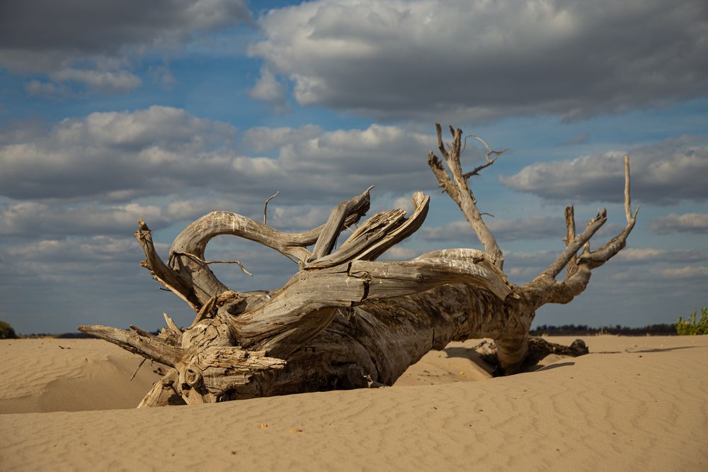 Photograph by Сергей Шестов