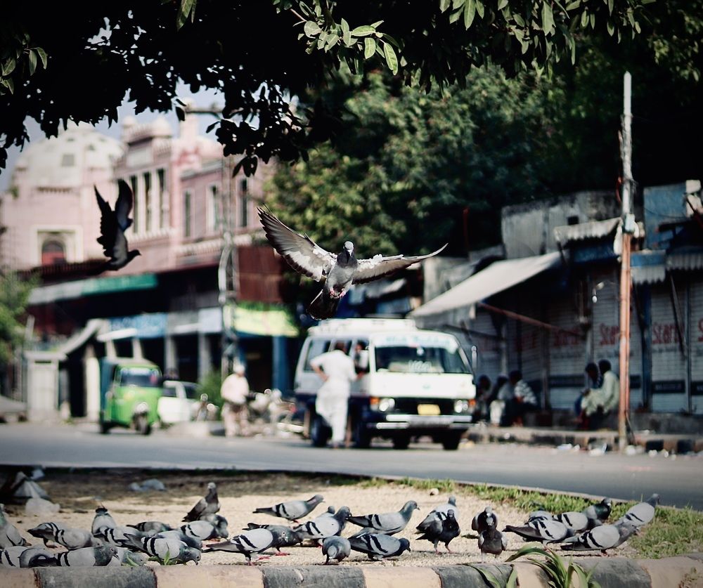 Фотография автора Awais Akram